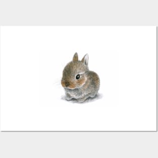 Rabbit 61 Cute Bunny Posters and Art